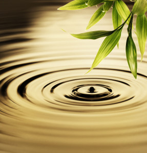 bigstock-Fresh-bamboo-leaves-over-water-13213379